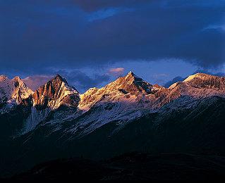 可爱模拟经营游戏《萌宠大赢家》5月24日登陆Steam